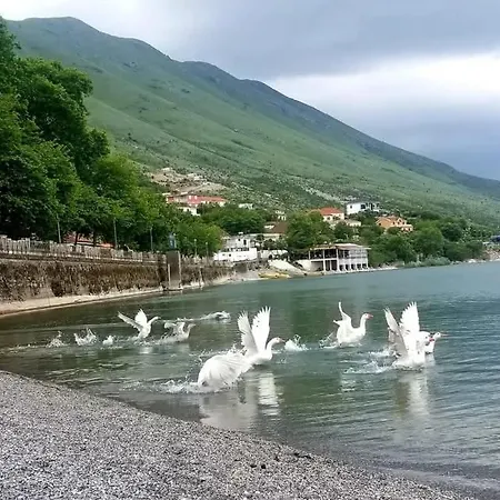 Brankaj Guest house *