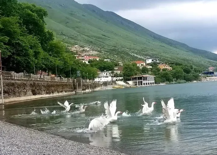 Brankaj Vendégház *